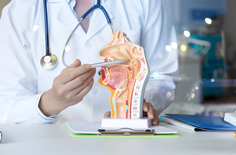 ENT specialist Dubai